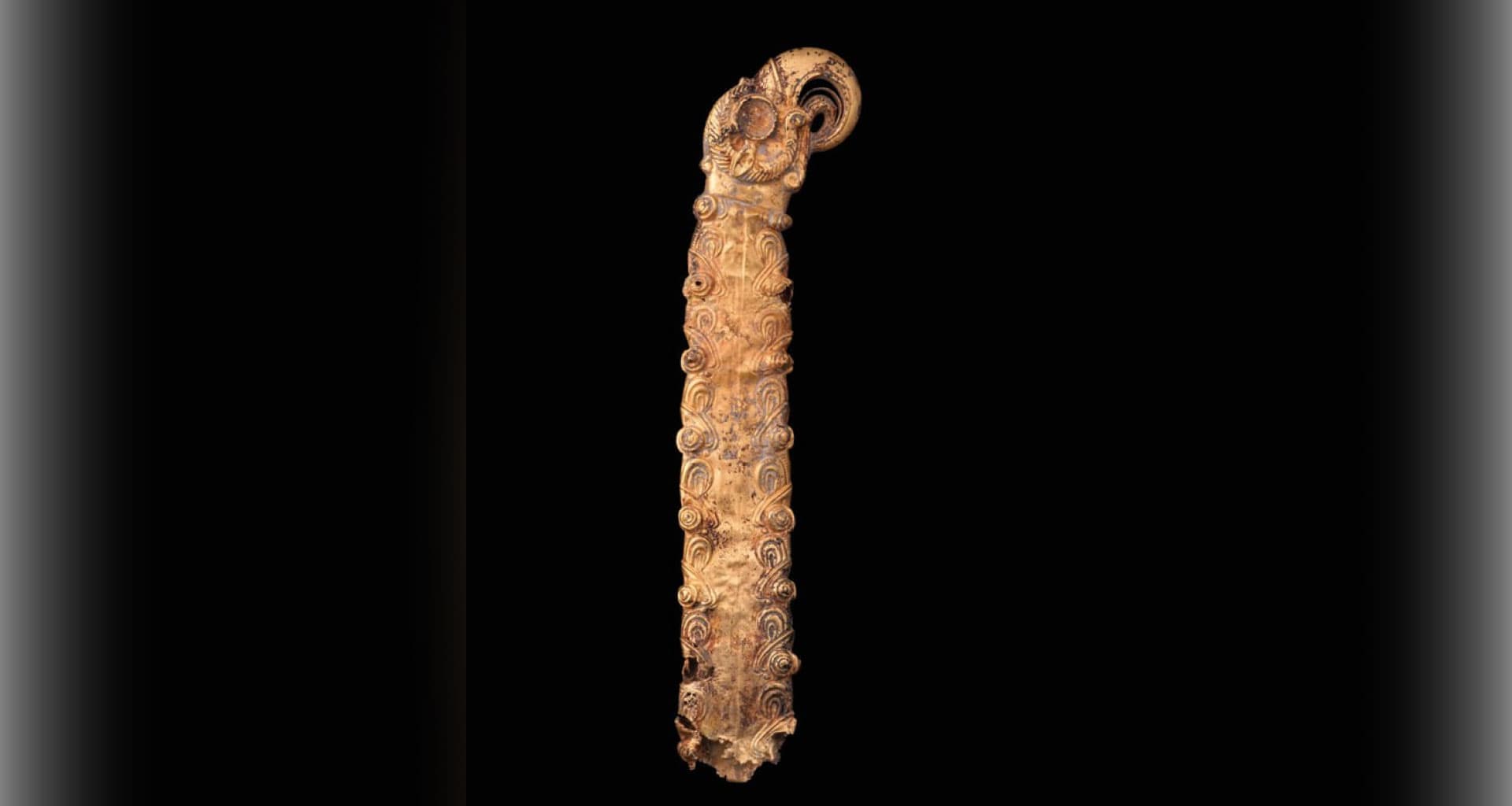 Neither a lion nor a bird — what was this mythological creature a symbol of in ancient times?