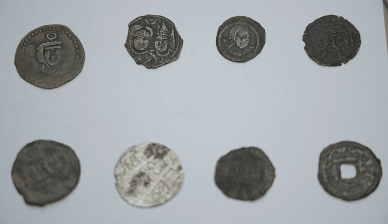The silent testimony of coins: traces of Civilization from Chach to Islam