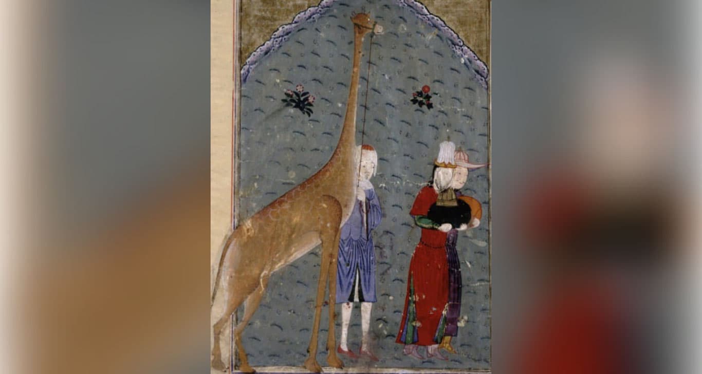 carousel image 1