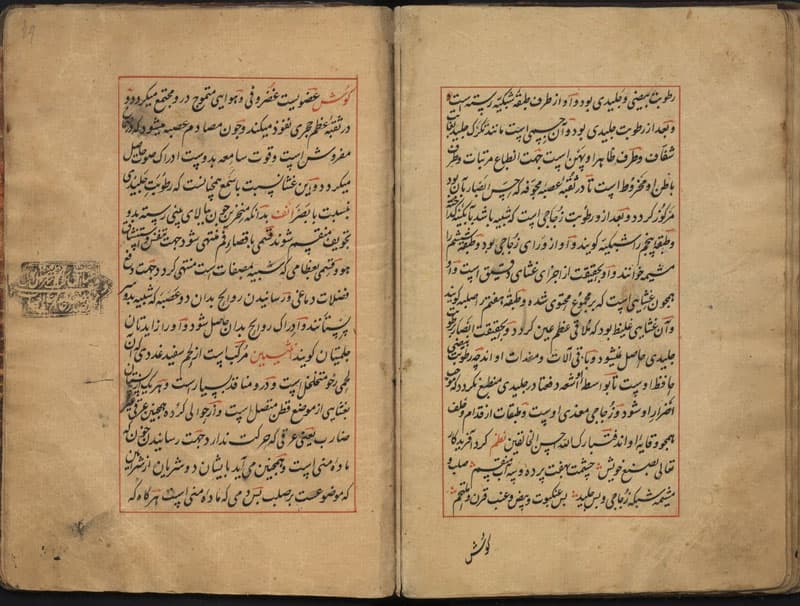Who is the author of the first colored illustrations on human anatomy?